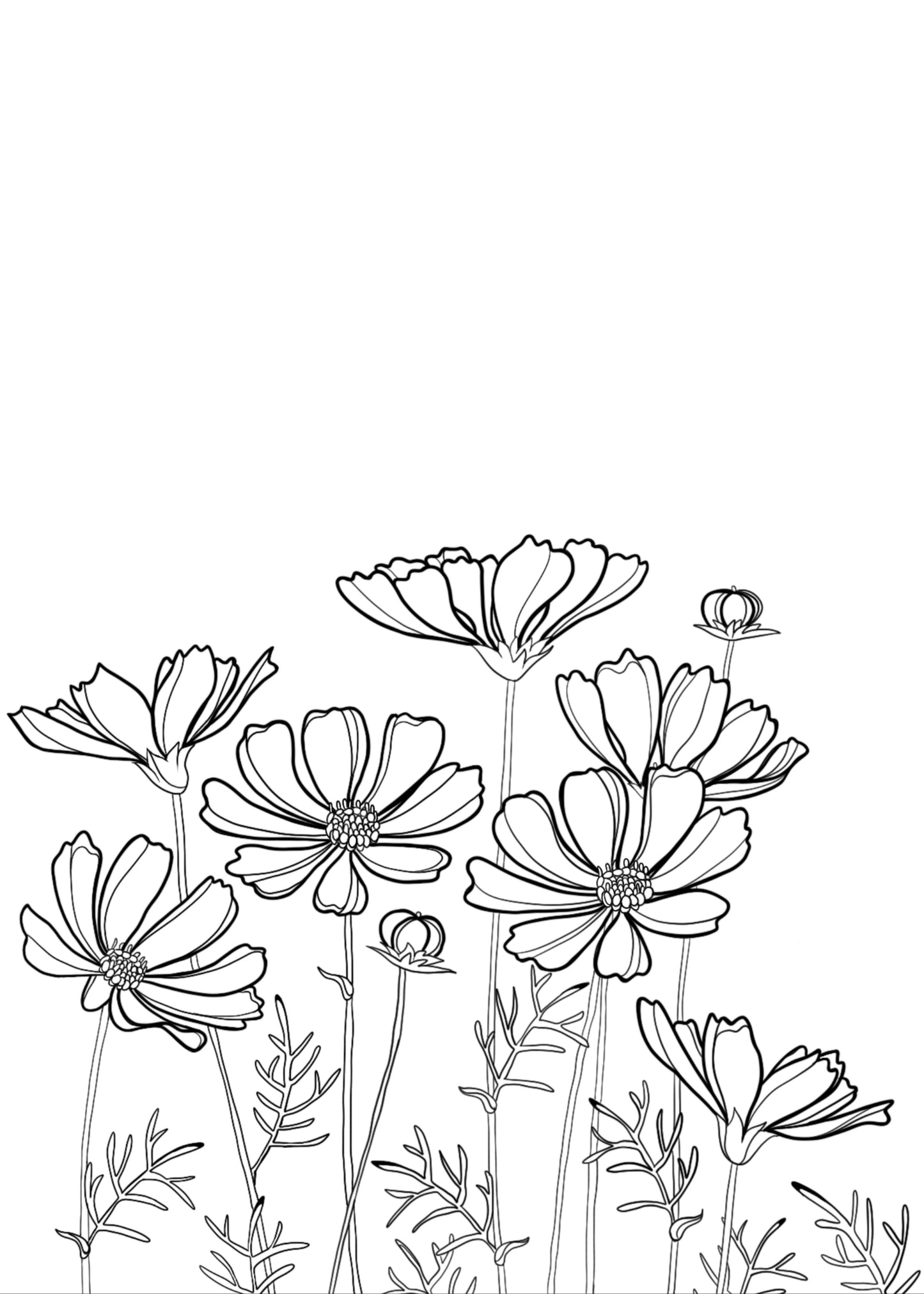 Black and white line drawing of flowers on a white background