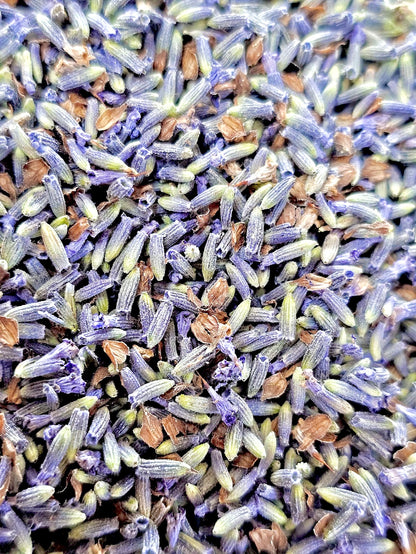 Dried Lavender Flower Buds