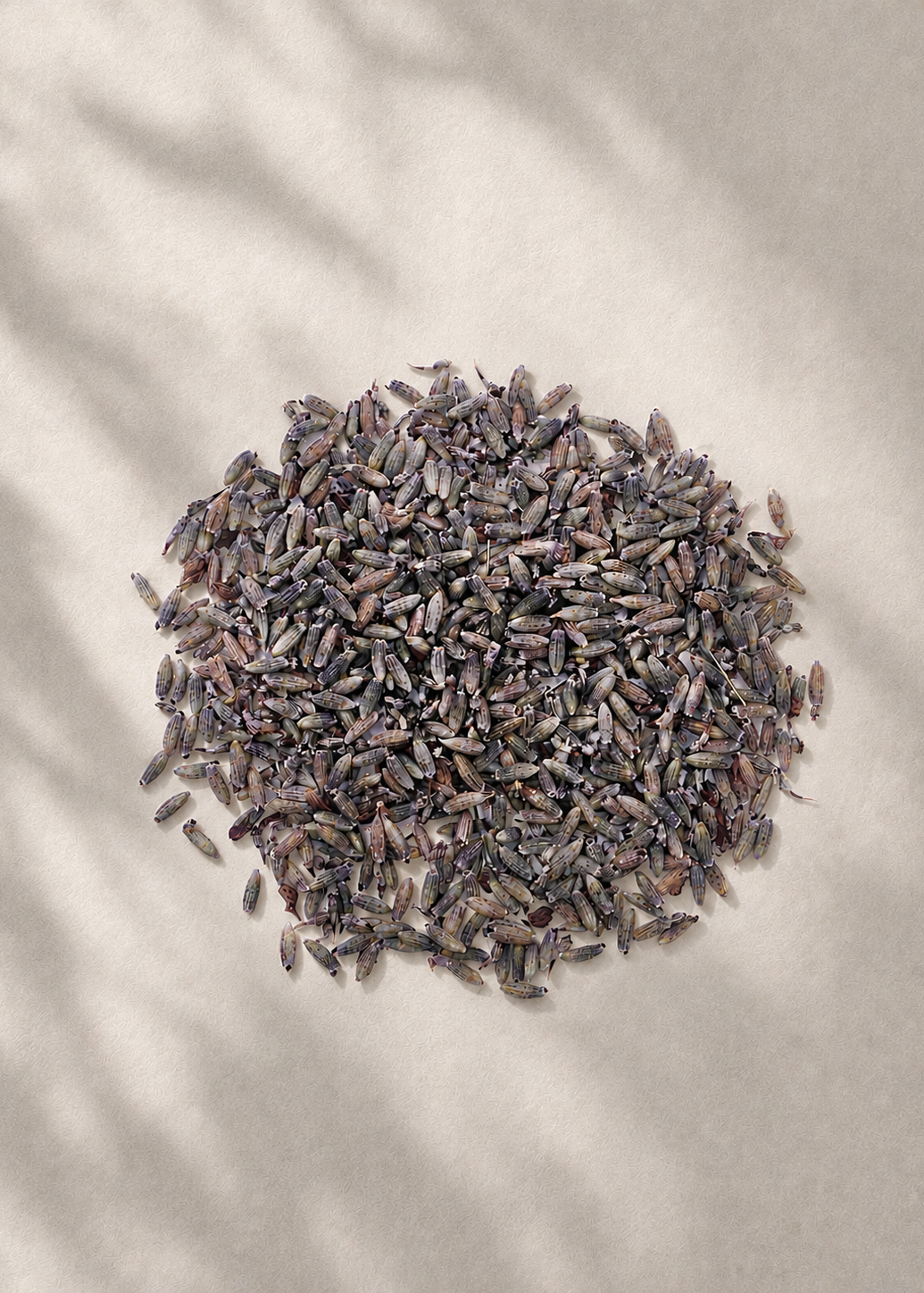 Bulk Lavender