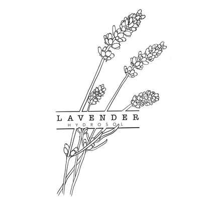 Illustration of lavender plants with the text 'LAVENDER HYDROSOL' below them