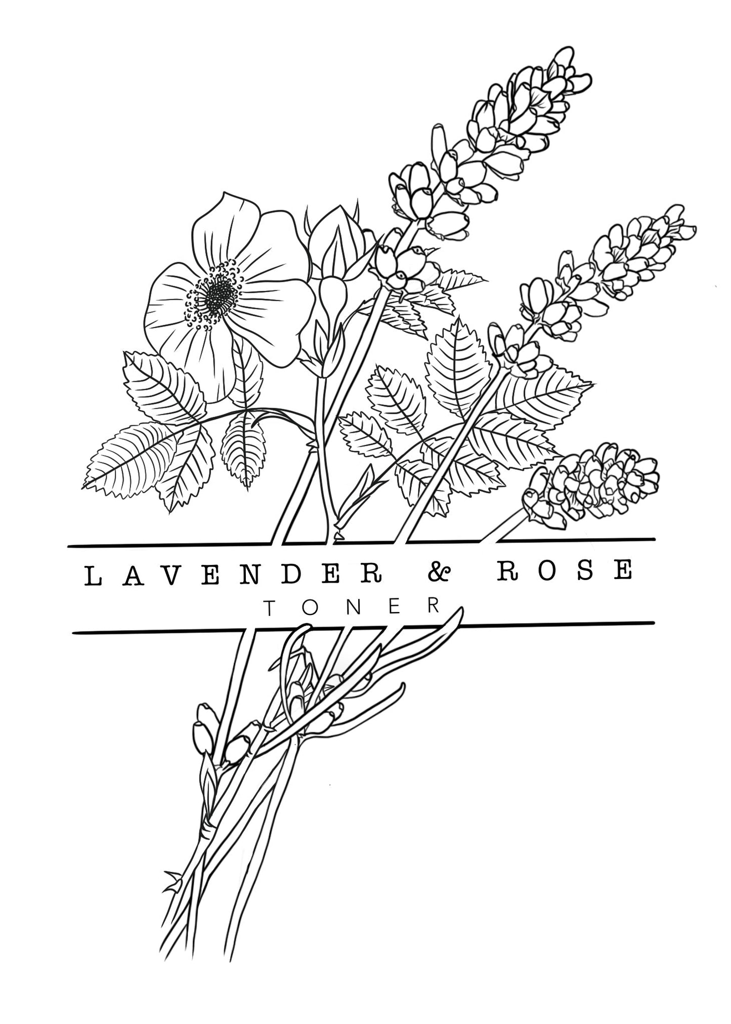 Lavender & Rose | Toner