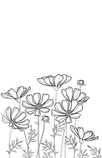 Black and white line drawing of flowers on a white background