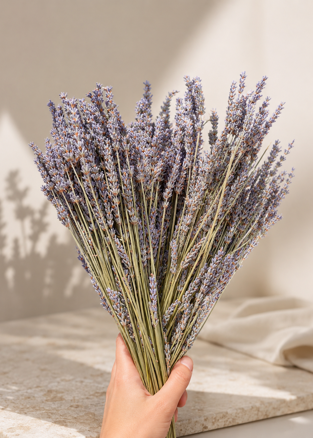 Hand holding a bundle of lavender against a neutral background